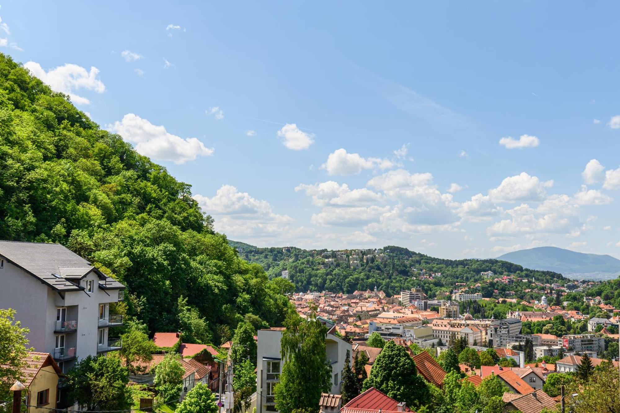 Cedrus Boutique Brasov